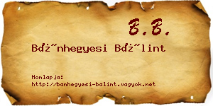 Bánhegyesi Bálint névjegykártya