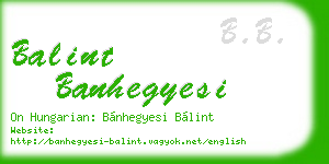 balint banhegyesi business card