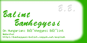 balint banhegyesi business card